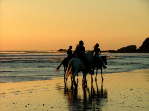 three people riding horses on the beach at sunset