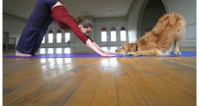 Doga: lo yoga da praticare con il nostro cane