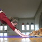 Doga: lo yoga da praticare con il nostro cane