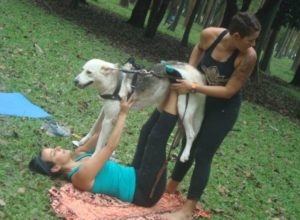 doga01