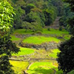 L'AREA ARCHEOLOGICA DI GUAYABO