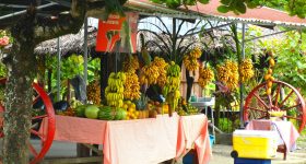 A TAVOLA CON I COSTARICENSI