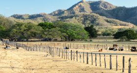 Perché vivere nella regione del Guanacaste fa bene alla salute?