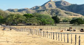 Perché vivere nella regione del Guanacaste fa bene alla salute?