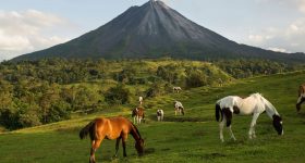 L’Arenal è molto più di un vulcano